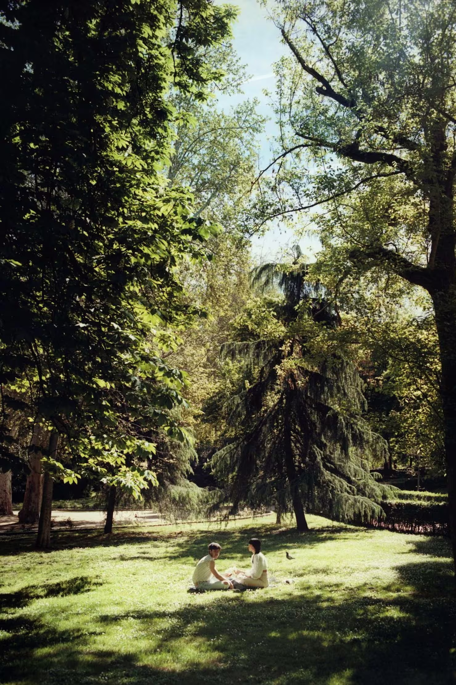 Portrait of a park: exploring El Retiro, central Madrid’s storied green space