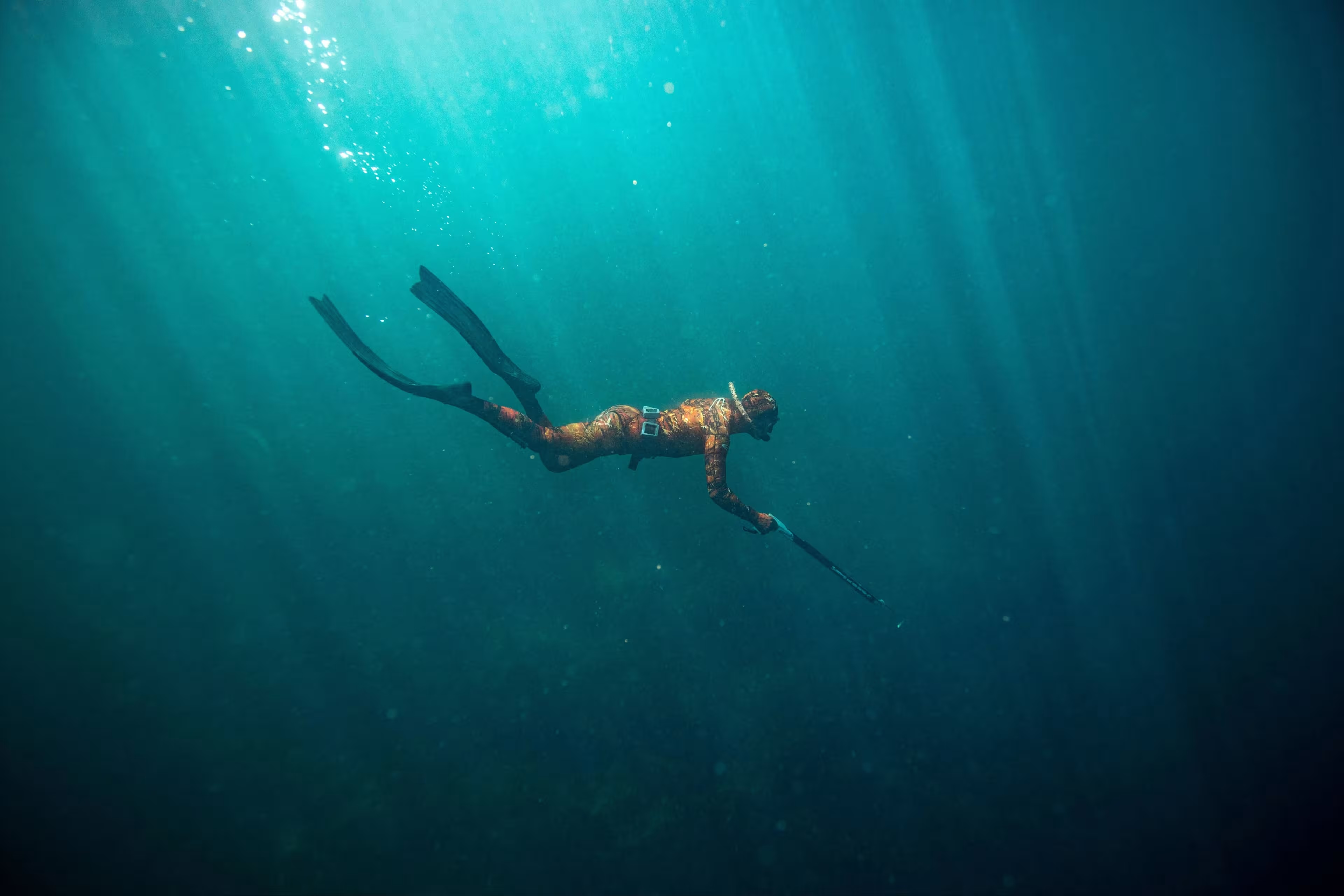 Wilder swimming: an introduction to spearfishing